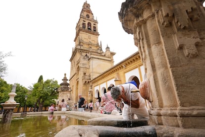 Un hombre se refresca en una de las fuentes del Patio de los Naranjos. 