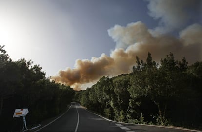 Una columna de humo, en el Parque Nacional de Garajonay.