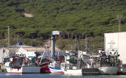 La flota pesquera permanece amarrada al puerto de la localidad gaditana de Barbate.