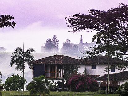 Paisajes colombianos con aroma a café