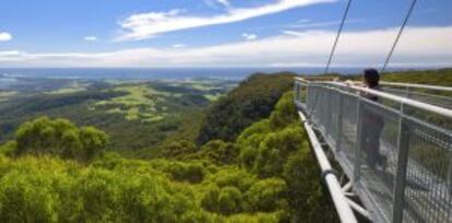 Vistas desde el Illawarra Fly Treetop Walk, en Nueva Gales del Sur (Australia).