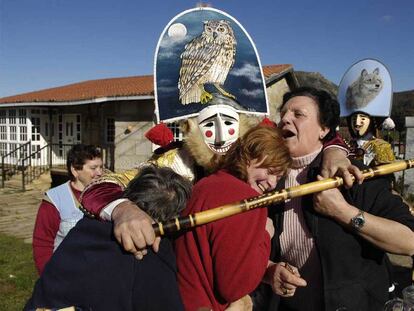 Los felos de Maceda ganan fama y se multiplican