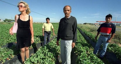 Una polaca, un marroquí y dos colombianos en un campo de fresa de Palos (Huelva).