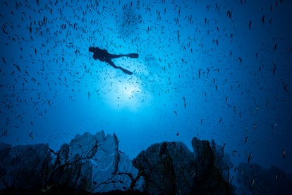 Comoras y Mayotte. 
Este archipiélago del Índico es perfecto para desaparecer un tiempo de la faz de la tierra. Eso sí, Comoras no es un destino de vacaciones apto para todos los públicos: todo marcha a un ritmo lento y las instalaciones turísticas no son precisamente de lujo. Ahora bien, si por vacaciones perfectas se entiende pasarse el día sin hacer nada, tomando té y charlando con los lugareños puede resultar la clase de aventura impredecible que uno ansía. Dueños de una rica cultura suajili y decididamente musulmanes, sus encantadores habitantes descienden de una estirpe de comerciantes árabes, sultanes persas, esclavos africanos y piratas portugueses. En su agitada vida política, las tres islas autónomas han sufrido casi una veintena de golpes de Estado desde que alcanzaran la independencia en 1975.
En la última década, en cambio, acordaron dejar a un lado las diferencias y emprender el camino conjuntamente bajo la bandera de Unión de las Comoras. La cuarta isla, Mayotte, es un territorio francés de ultramar, y difiere políticamente de las otras en que su población es francesa y, por ende, se rige por la ley gala. En la más pequeña de las tres islas principales de las Comoras, Mohéli, está el único parque nacional del país: el parque marino nacional de Mohéli. Es un lugar perfecto para hacer esnórquel con las tortugas y peces tropicales que viven en el arrecife de coral. Las ballenas y los delfines también frecuentan estas costas. La isla está todavía lejos del circuito turístico, por lo que es perfecta para aquellos que buscan escapar de las multitudes.
