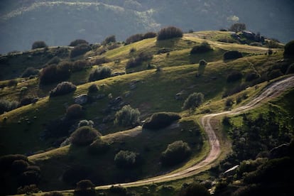 Paisaje de la sierra de Andújar.