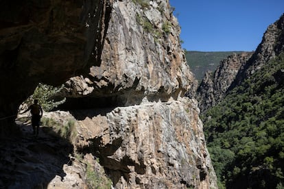 DVD 1275 16/07/2025 - Francia - Excursion de montaña en Les Gorges de Carançá, en el Pirineo frances, en el munbicipio de Thuès entre Valls. Foto: Massimiliano Minocri