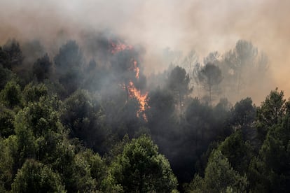 Vista del fuego en los alrededores de Manresa.
Todos los cuerpos de emergencias se han coordinado en decenas de puntos de un macizo cuyas cimas rozan los 1.000 metros en 13.000 hectáreas. Los Agentes Rurales han confirmado que el origen ha sido por una acción humana. Investigan si de manera imprudente o intencionada.
Foto: Gianluca Battista