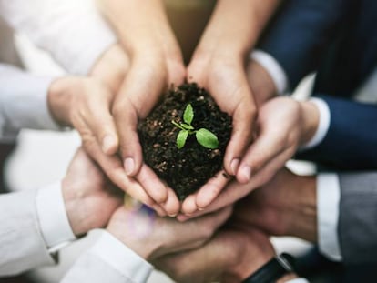 La Tierra también quiere recuperar la salud
