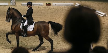 Un jinete participar en un concurso de doma clasica en el Salón Internacional del Caballo.