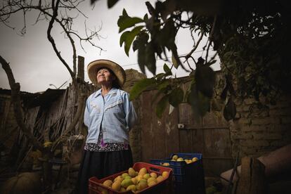 Retrato Sra. María. Perú.