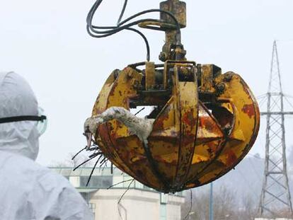 Un veterinario observa la recuperación de un cisne muerto en las proximidades de una central eléctrica en Mellach, en el sur de Austria.