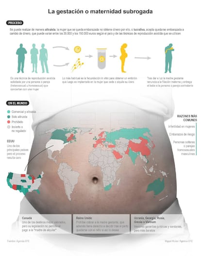 Detalle de la infografía de la Agencia Efe sobre gestación subrogada.