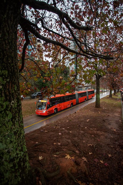 A three-body bus circulates in a dedicated public transport lane.