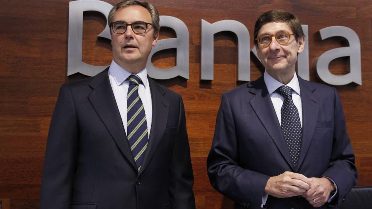 La fusión de Bankia y BMN acelerará la privatización | Empresas | Cinco ...