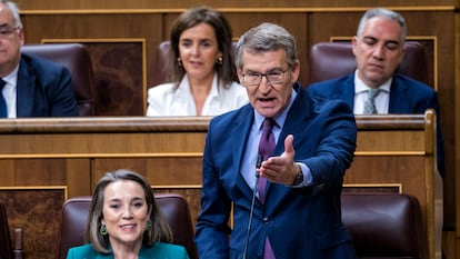 El presidente del PP, Alberto Núñez Feijóo, en la sesión de control al Gobierno en el Congreso.