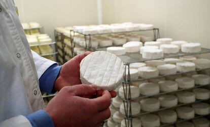 Un productor de Bermonville (Francia) muestra un Camembert elaborado con leche cruda.