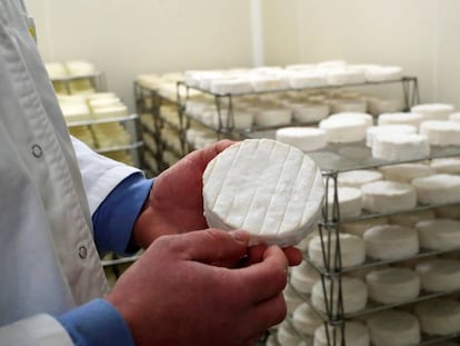 Un productor de Bermonville (Francia) muestra un Camembert elaborado con leche cruda.