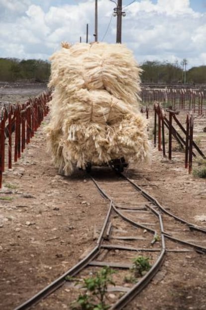 Las vías portátiles decauville proliferaron en explotaciones de muchos países. En Yucatán se instalaron más de 1.000 kilómetros. Decauville, un agricultor francés, dejó el campo y se dedicó a comercializarlas.