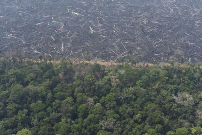 A "savanização" progressiva da selva é uma ameaça real, alertou uma equipe de cientistas brasileiros chefiada pelo climatologista Carlos Nobre, da Academia Nacional de Ciências dos Estados Unidos, em 2016. Na imagem, vista aérea de uma floresta exuberante próxima a um campo de árvores carbonizadas perto do município de Porto Velho, no dia 23 de agosto.