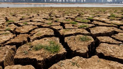 Lecho del río Gan, en China, en el verano de 2022.