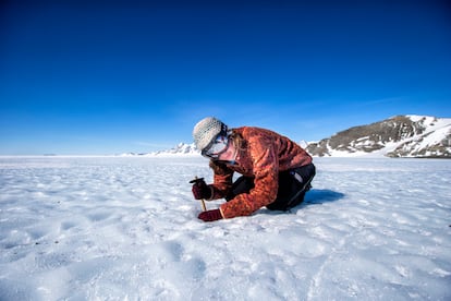 La glacióloga holandesa Veronica Tollenaar toma muestras para estudiar la edad del hielo azul.