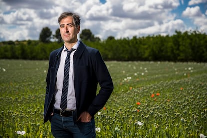 El químico Carlos García Caballero, del Instituto Nacional de Toxicología y Ciencias Forenses, en un cultivo legal de adormidera en Malpica de Tajo (Toledo).