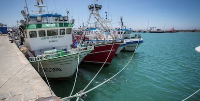 Pesqueros amarrados en el puerto de Barbate (Cádiz) al haber expirado el protocolo de pesca firmado entre Marruecos y la Unión Europea