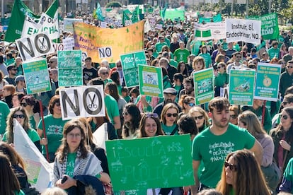 Vista de la manifestación convocada este domingo en la capital por una veintena de entidades y asociaciones en defensa de la educación pública.