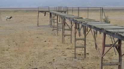 La laguna Aculeo, alguna vez un atractivo turístico, sin agua por la sequía.