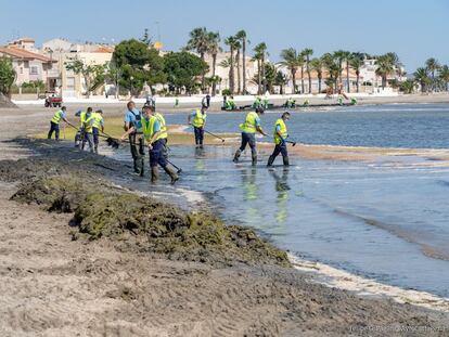 30 operarios se unen a las tareas de limpieza del Mar Menor el pasado mes de junio.