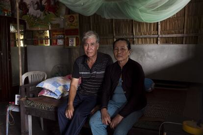 Tran Van Danh y su esposa Vi Thi Phan tienen una granja de crustáceos en la isla de Dung, una de las zonas más afectadas por el aumento de la salinidad en el agua. Cada año obtienen menos ganancias y no saben cuánto tiempo podrán mantener esta situación. Estas tierras pertenecen a su familia desde hace ochenta años y ahora se plantean venderlas.