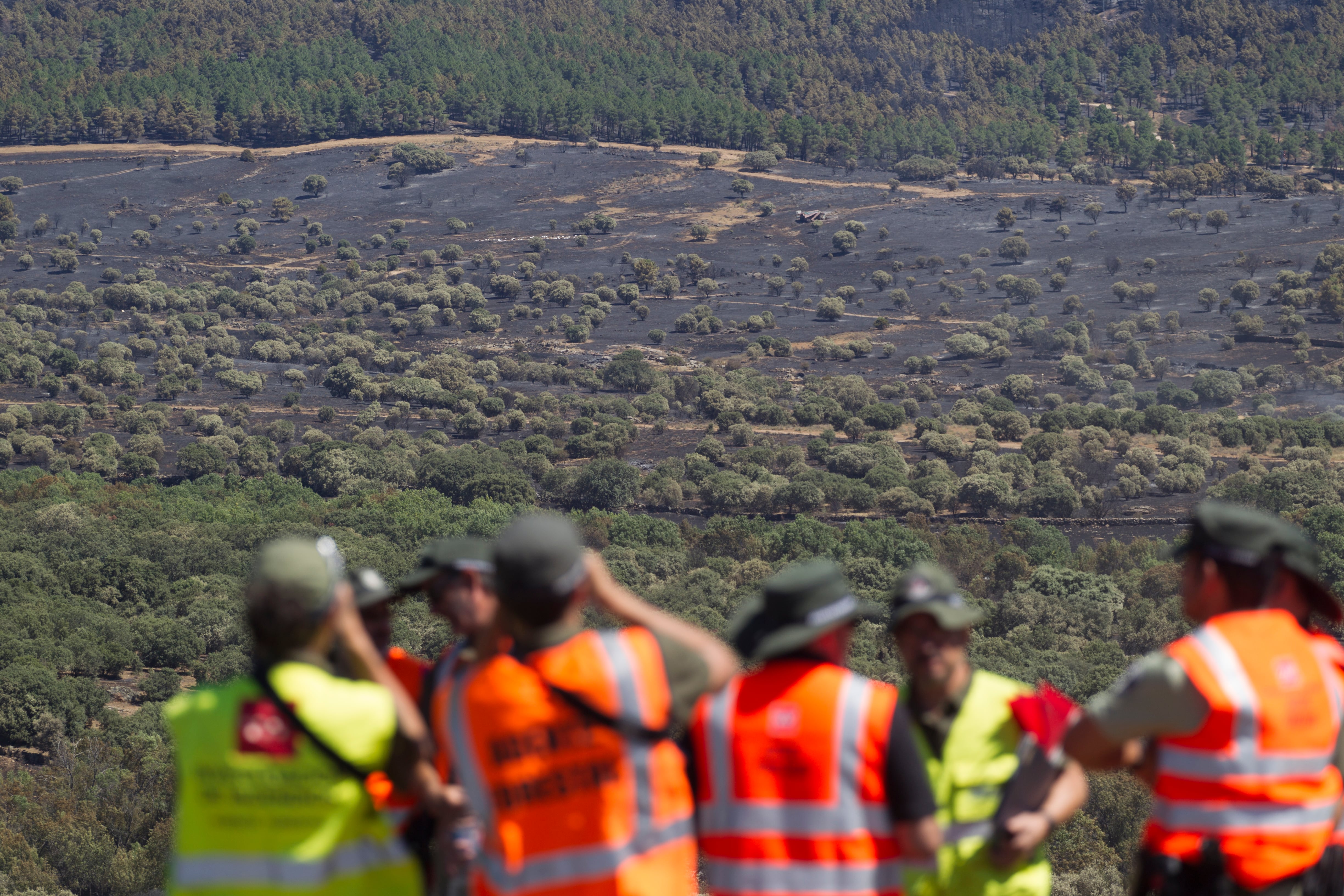 Zona afectada, junto a la Nacional I, donde parece ser empezó el incendio. Agentes forestales e investigadores, recorren la zona para encontrar pruebas.
