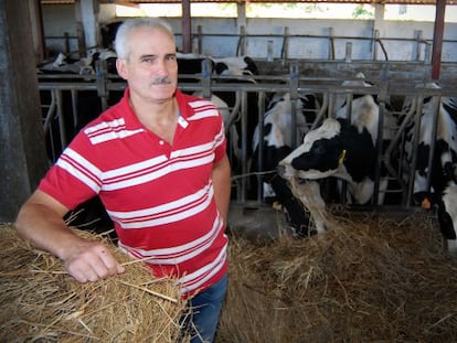 Manuel Pu&ntilde;al posa ante las vacas de orde&ntilde;o de su granja, en el municipio coru&ntilde;&eacute;s de Ponteceso.