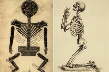 Grabados históricos del esqueleto humano, de Tashrih Musori (siglo XIV) y William Cheselden (siglo XVIII).