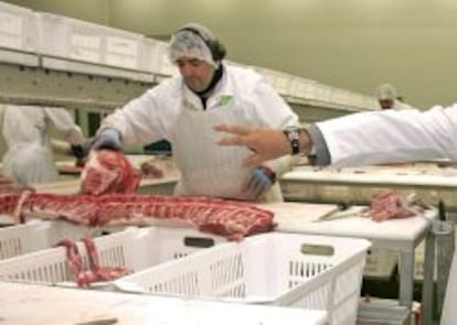 Un trabajado manipula carne en una planta de Campofr&iacute;o en Burgos. 