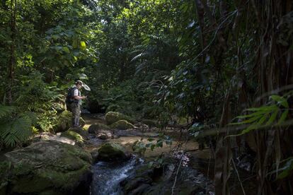 Parque Nacional Sierra del Divisor ubicado entre las regiones de Ucayali y Loreto en Perú. 