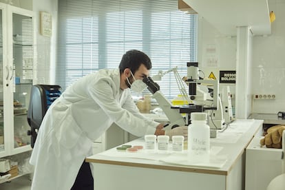 Hya un marco de actuación para un uso sostenible de antibióticos en especies de interés ganadero, incluida la acuicultura, para reducir su uso y combatir la resistencia antimicrobiana.