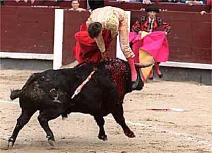 Eugenio de Mora es corneado ayer al entrar a matar a su primer toro, el segundo de la tarde, de nombre <b></b><i>Fermentado.</i>