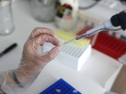 Construcción de puentes entre culturas a través de la ciencia