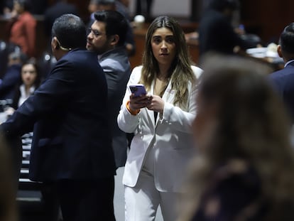 María Teresa Ealy durante la sesión ordinaria de la Cámara de Diputados, el 1 de abril 2025.