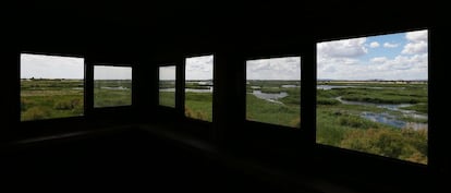 Panorámica del humedal desde el mirador de la Torre de Prado Ancho, donde se puede observar el Tablazo, la charca más grande del parque.