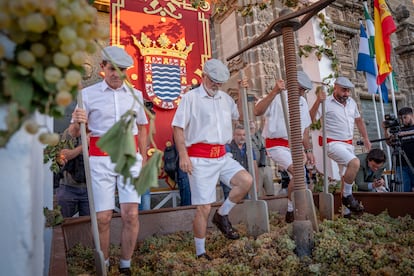 Acto de la tradicional pisa de la uva, una fiesta con la que Jerez de la Frontera (Cádiz) celebra la vendimia.