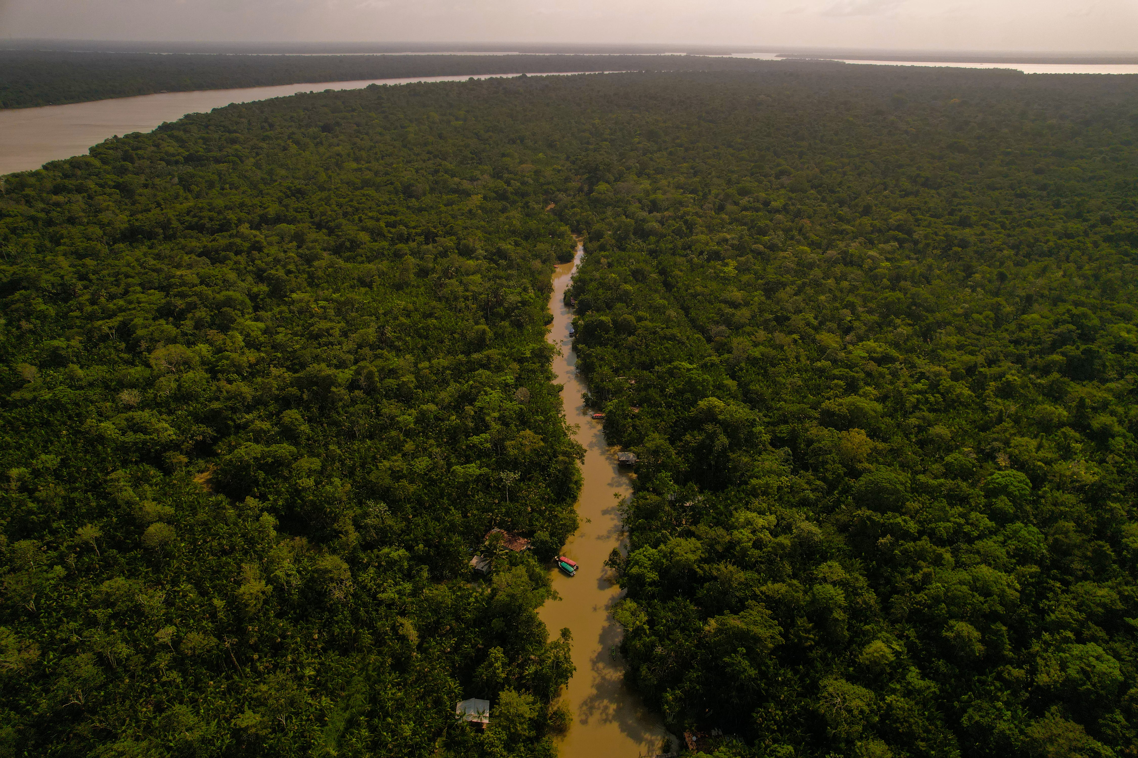El futuro de la Amazonia (y del clima mundial) se decide el 25 de octubre