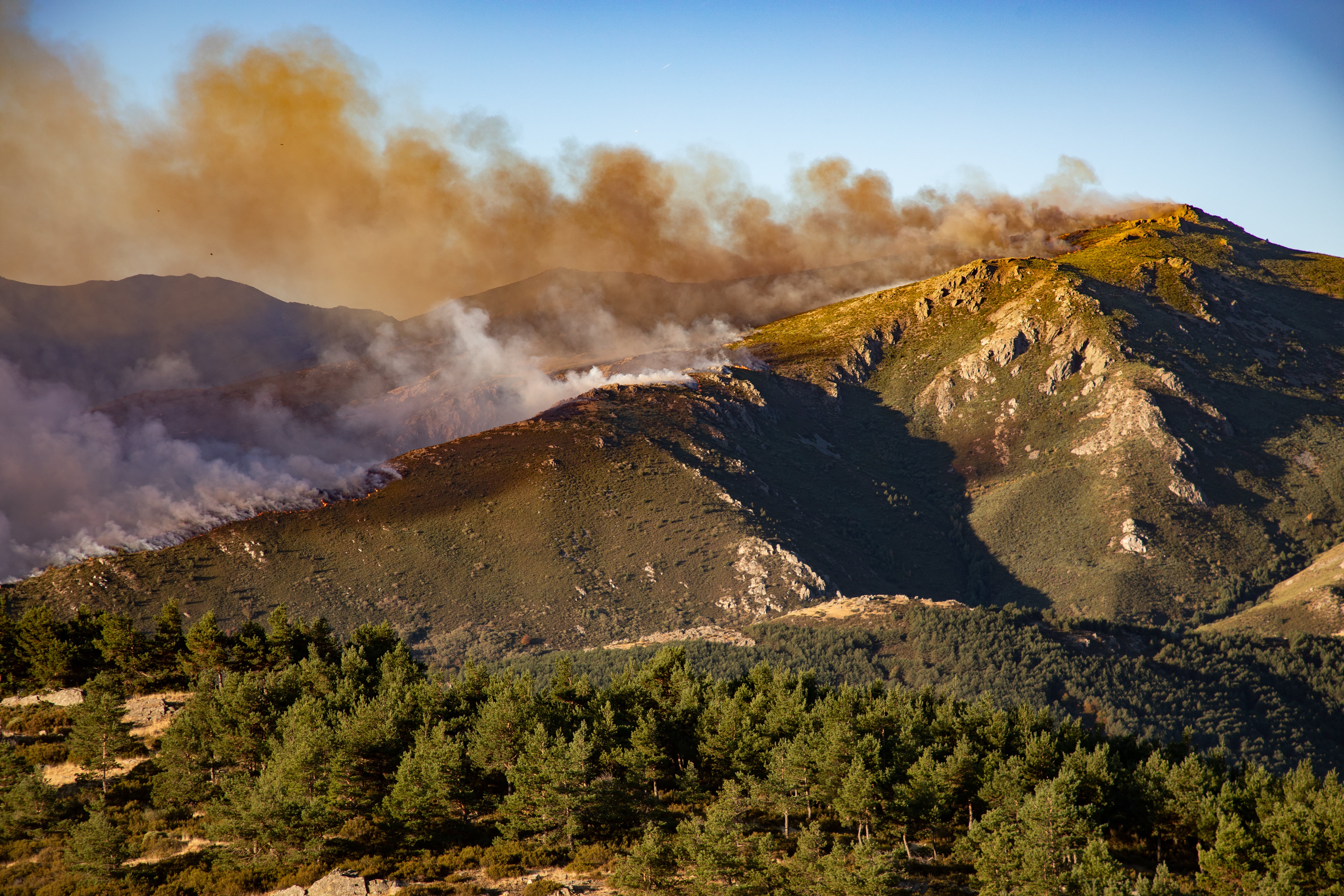 Incendio en Pico del Lobo Calcina 2.400 Hectáreas y Mantiene Evacuaciones en Guadalajara