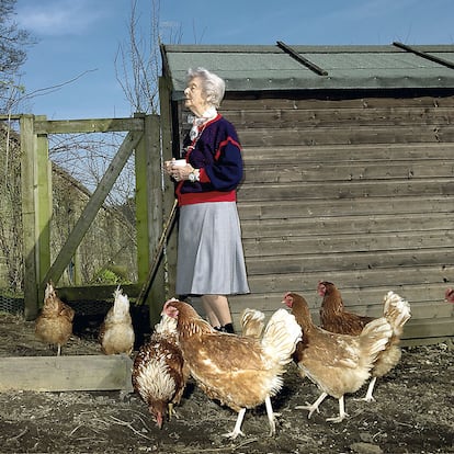 Deborah Vivien Cavendish, difunta duquesa de Devonshire, alimentando a sus adoradas gallinas.