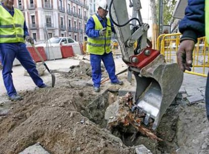 Tres operarios trabajan en la retirada de los restos de un árbol en la calle de Serrano.