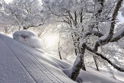 Esquiador Adam Ü fuera de pista en Nozawa Onsen, Japón