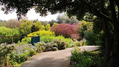 Jardin botanico Barcelona