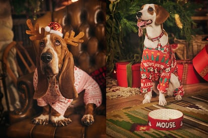 La línea Pet Collection de Lefties está pensada para compartir el espíritu navideño con nuestros mejores amigos.