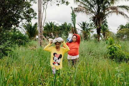 En la Amazonía brasileña viven las 'quebradeiras', las rompedoras de coco. Al igual que los resineros del caucho o las sociedades cazadoras, estas 'cascanueces' babasú viven de recolectar y vender materias primas sin perturbar el entorno del que las toman. Algunas —el colectivo suma alrededor de un millón de mujeres— se consideran guardianas de la selva.